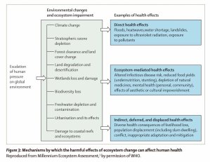 The Lancet, 386 (2015) 1973-2028. doi:10.1016/S0140-6736(15)60901-1